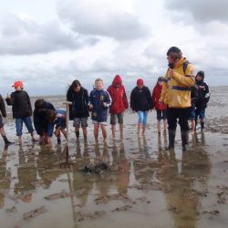 langeoog_181_640x480.jpg